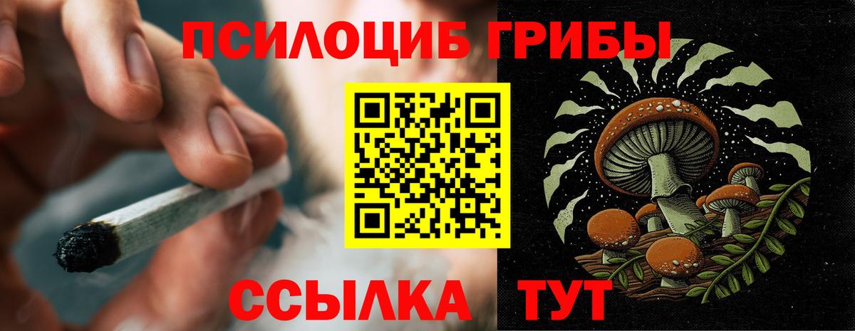 Крымск  Псилоцибиновые грибы ЛСД  Вход с VPN 