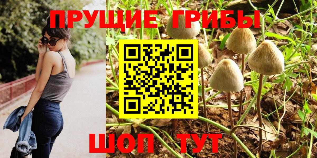 Галлюциногенные грибы прущие грибы Крымск